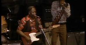 Muddy Waters - I'm A King Bee - ChicagoFest 1981