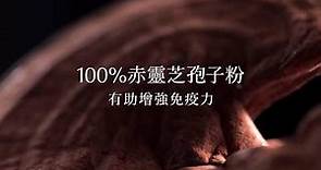 《北京同仁堂破壁靈芝孢子粉膠囊 | 用料十足》