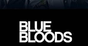 Blue Bloods: Season 4 Episode 11 Ties That Bind