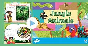 EYFS Jungle Animals and Their Sounds PowerPoint
