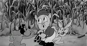 Porky's Hare Hunt (Clip 1) | Looney Tunes