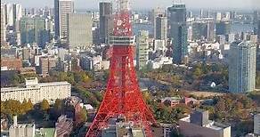 東京鐵塔最新觀賞視角，站上日本最新第一高摩天大樓森JP塔（免門票）#tokyo #麻布台之丘 #東京鐵塔