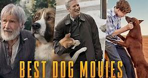 The greatest DOG movies of all time
