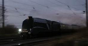 Bittern at 90mph with The Capital Streak