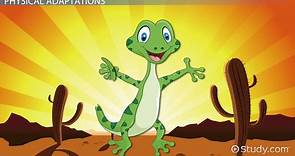 Lizard Adaptations: Lesson for Kids