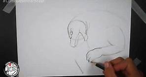 Cómo dibujar Godzilla Drawing