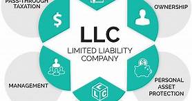 What is an LLC - Limited Liability Company (LLC) | TRUiC