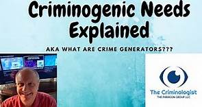 Criminogenic Needs explained