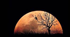 💥 21 Imagenes de la luna Espectaculares
