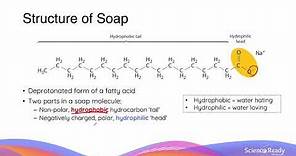 What is Saponification? Structure and Action of Soaps and Detergents // HSC Chemistry