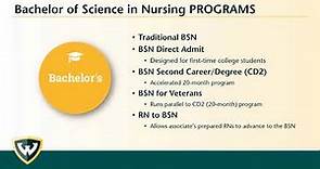 Bachelor of Science in Nursing degree program overview