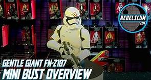 Star Wars Gentle Giant FN 2187 Mini Bust Review