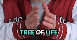 What Does The Tree of Life Represent in The Bible?🌲⁉️