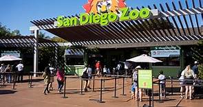 San Diego Zoo comes in 8th place in USA Today’s ‘Best Zoos in the U.S.’ contest