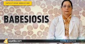 Babesiosis | Management of Babesia Infections | Infectious Medicine Lectures | V-Learning
