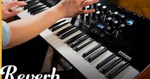 Korg Prologue Polyphonic Analogue Synthesizer | Reverb Demo Video
