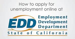 How to apply for unemployment online