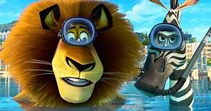 DreamWorks Madagascar | Alex and Marty Best Friends | Madagascar Funny Scenes | Kids Movies