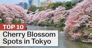 Top 10 Cherry Blossom Spots in Tokyo | japan-guide.com