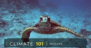 Find out about the world's ocean habitats and more