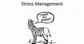 PPT - Stress Management PowerPoint Presentation, free download - ID:1570984