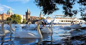 One-hour River Cruise | Prague-Boats.cz