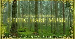 1 Hour of Relaxing Celtic Harp Music by Adrian von Ziegler