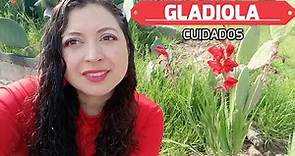 Guía completa de cuidados de la Gladiola. Aprende cómo sembrar gladiolus en tu jardín