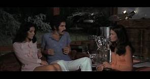 4 mosche di velluto grigio 1971 / Four Flies on Grey Velvet / Full HD 1080 IT+(eng sub)