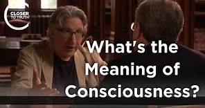 Ned Block - What's the Meaning of Consciousness?