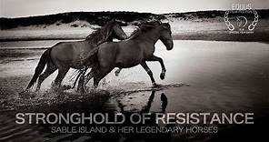 Stronghold of Resistance: Sable Island & Her Legendary Horses