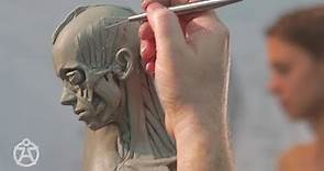 Live demo – anatomy female Andrew Cawrse - ecorche sculpture