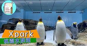 【桃園水族館】Xpark 。全台首座採自然光的水族館 | 桃園景點