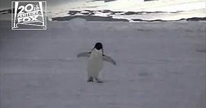 Mr. Popper's Penguins | Look at this Penguin Running | Fox Family Entertainment