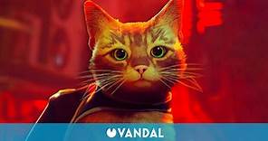 Stray, el juego del gato ciberpunk, va a adaptarse como película de animación