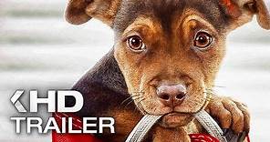 A DOG'S WAY HOME Trailer (2019)