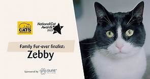 Zebby | National Cat Awards 2023: Family Fur-ever finalist