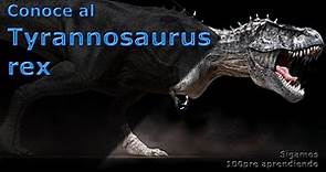 El Tiranosaurio Rex | Curiosidades sobre el Tyrannosaurus rex | conoce al dinosaurio