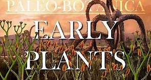 The Evolution of early Plants