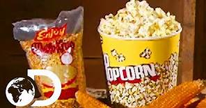 POPCORN | How It's Made