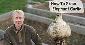 How To Grow Elephant Garlic - From Planting Cloves To Harvest, Including Month By Month Video Clips