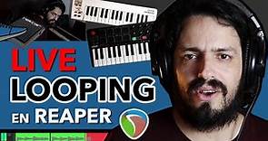 Cómo hacer LIVE LOOPING en REAPER con el Super8 Looper