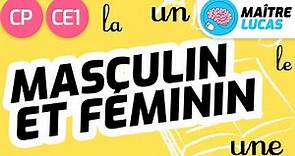 Masculin et féminin CP - CE1 - Cycle 2 - Français : étude de la langue - FLE
