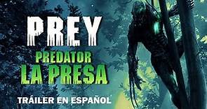 Predator: La presa (Prey, 2022) - Tráiler en español