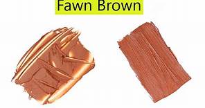 Fawn Brown Color - How To Make Fawn Brown Color - Color Mixing Video
