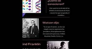 Científicos y el ADN. (Watson, Crick, Rosalind Franklin, Linus Paulin & Maurice Wilkins)