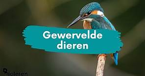 Bioleren - Gewervelde dieren | NIEUW