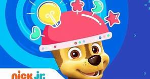 Play the PAW Patrol Memory Game & Test Your Brain! | Nick Jr.