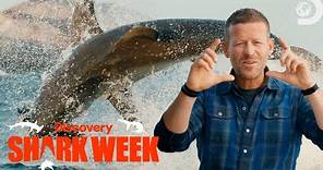 The Highest Flying Sharks of Shark Week 2022 | Shark Week | Discovery