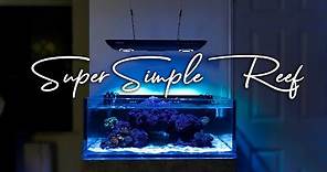 How To Setup a Super Simple Saltwater Reef Aquarium for Beginners